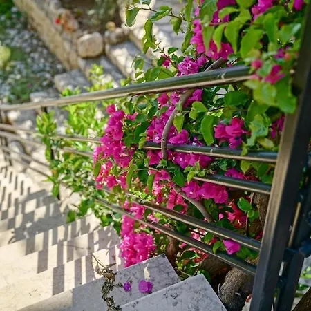 Mini Location Apartment *